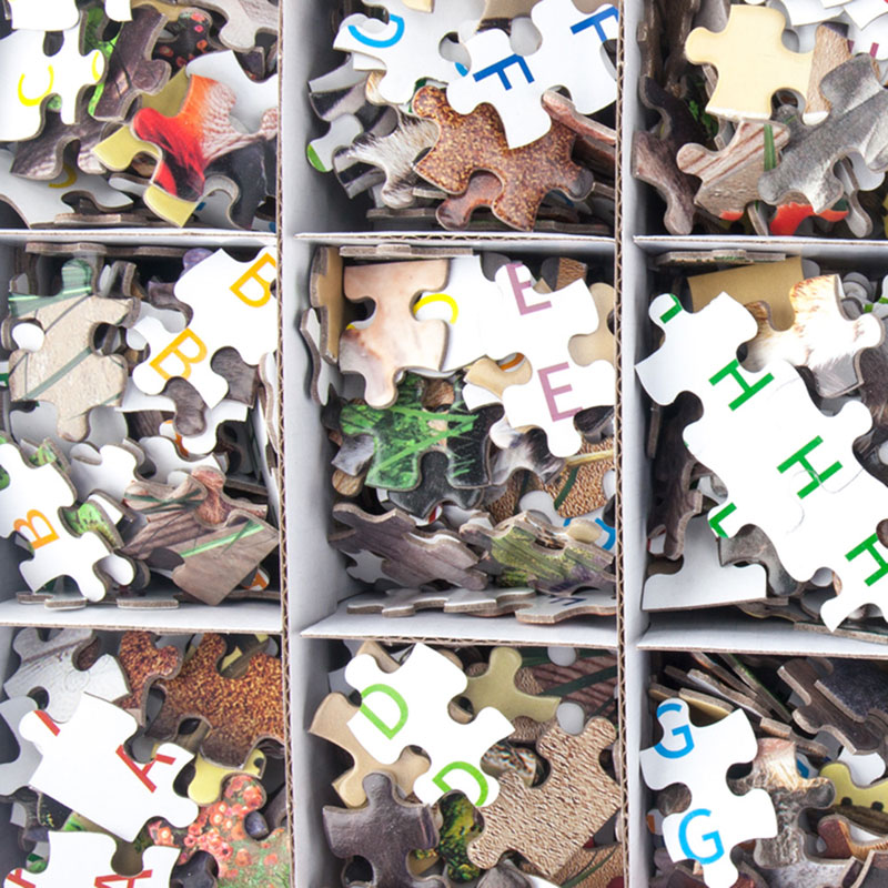 Jigsaw Puzzle 1000 Pieces