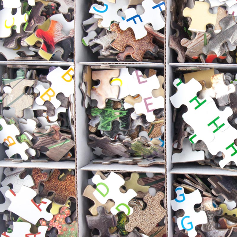Puzzles For Adults 1000 Piece
