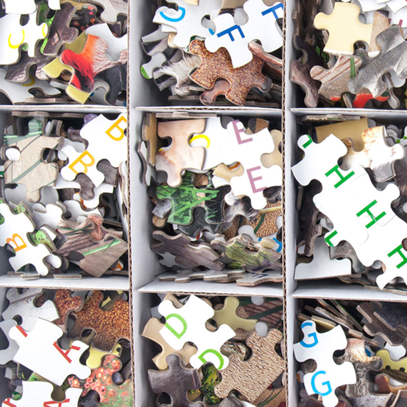 China 1000 Pieces Jigsaw Puzzle Manufacturers